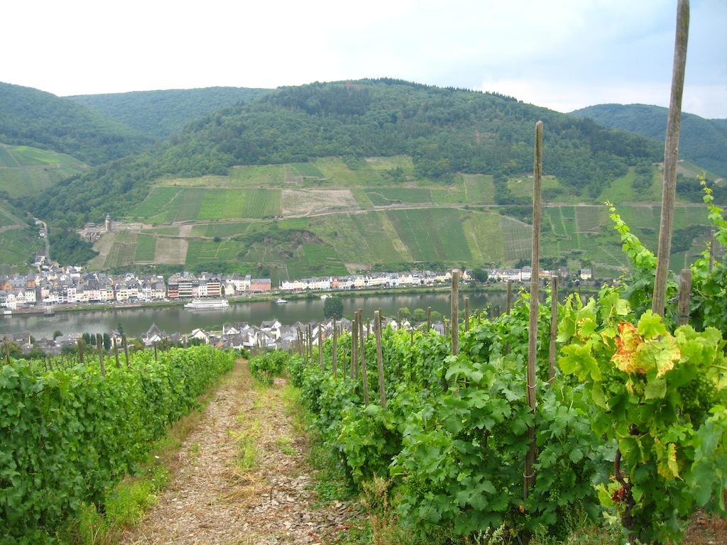 Haus Anna Villa Zell an der Mosel Exterior photo